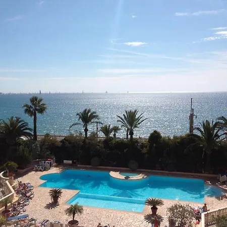 La Palme D'azur *