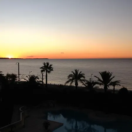 La Palme D'azur * קאן