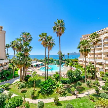 La Palme D'azur -